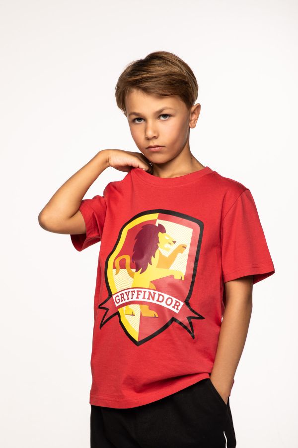 T-shirt z krótkim rękawem HARRY POTTER czerwony z herbem Gryffindor