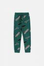 Spodnie dresowe zielone z printem w deskorolki o fasonie SLIM 2222470