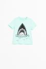 T-shirt z krótkim rękawem miętowy z wizerunkiem rekina z przodu 2158776